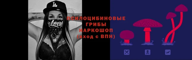 spice Абинск