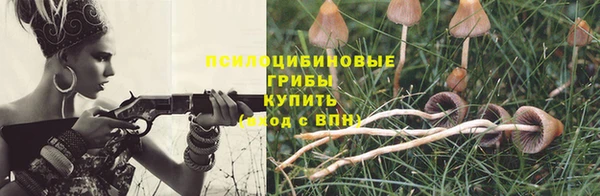 spice Абинск