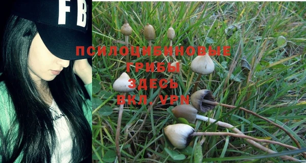 прущая мука Абаза