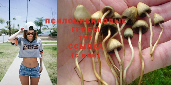spice Абинск