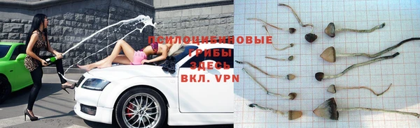 spice Абинск
