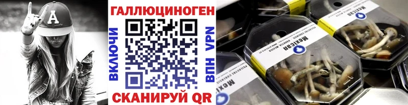 shop как зайти  MEGA как зайти  Соликамск  Галлюциногенные грибы Cubensis 